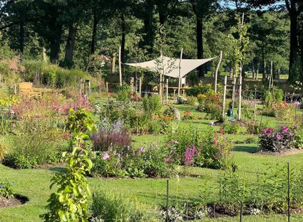 Ecologische Pluktuin De Peel in Griendtsveen met kleurrijke bloemen en natuurlijke biodiversiteit.