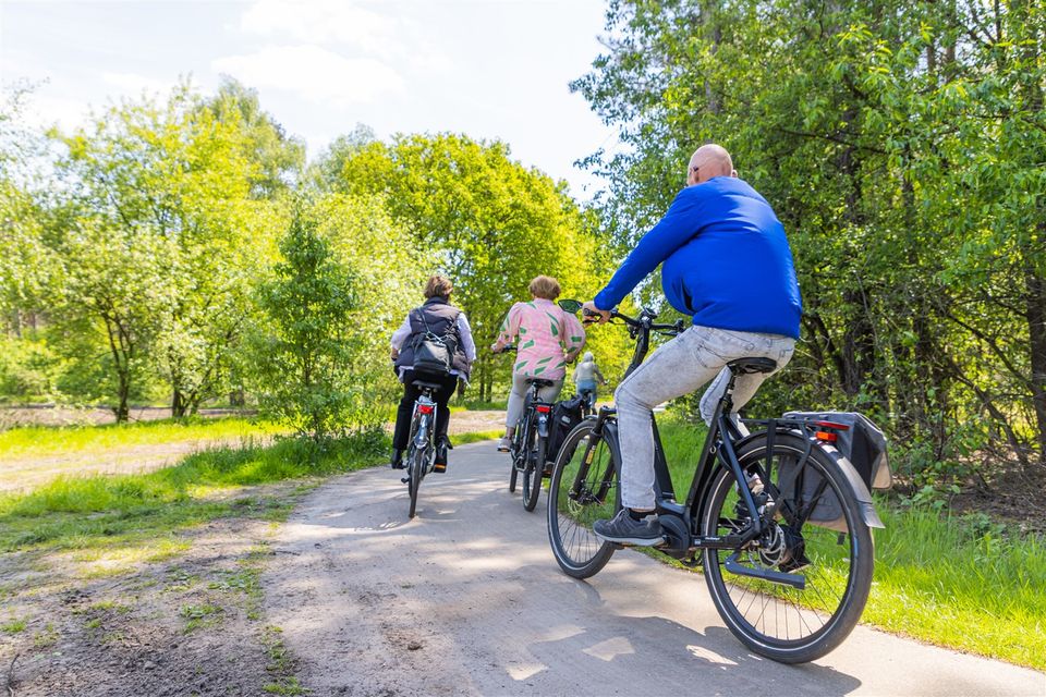 Fietsers in de Kempen
