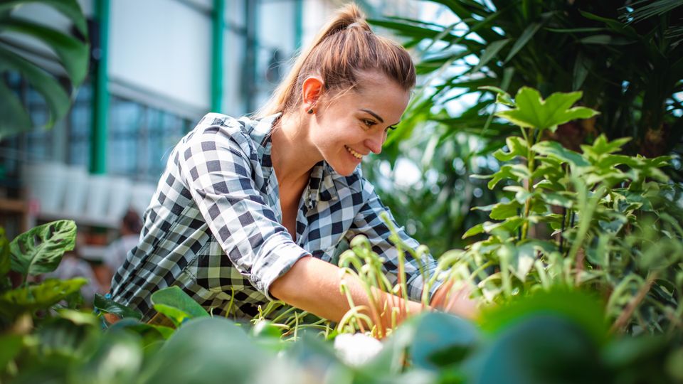 Medewerkster Tuincentrum