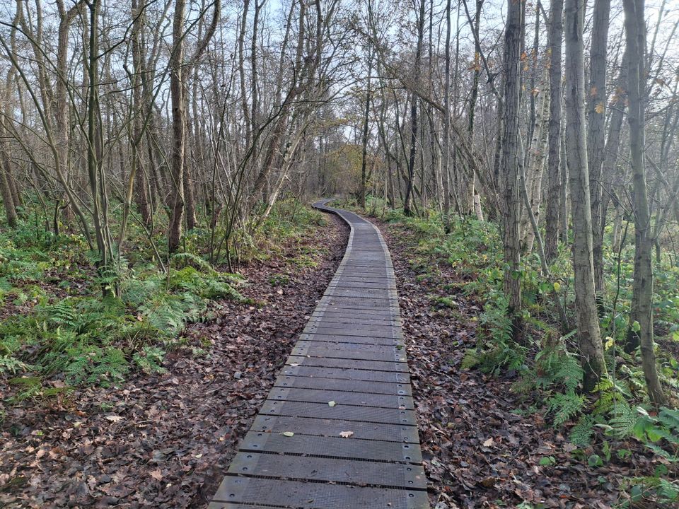 Boswachterspad Rottige Meente