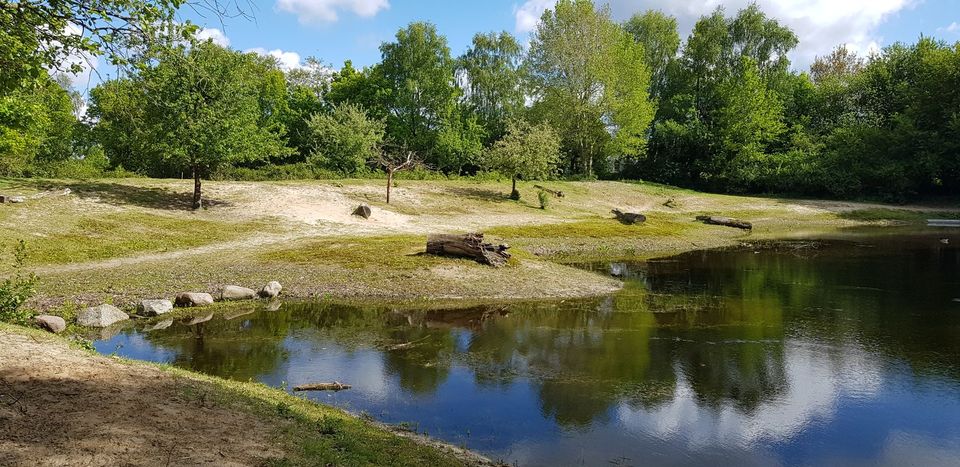 Kolham bij klimmen en klauteren