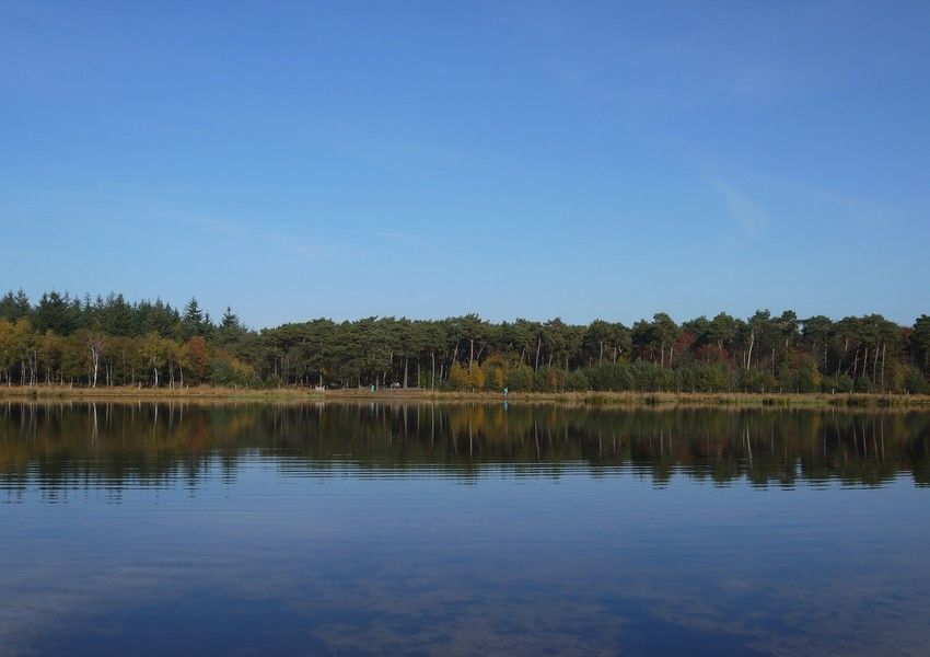 Buntven im Sandwald in Deurne