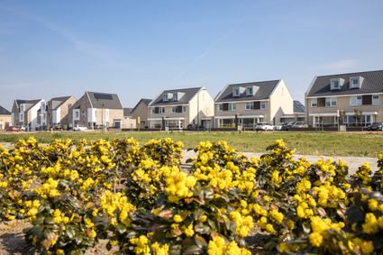 Bestaande woningen Warande