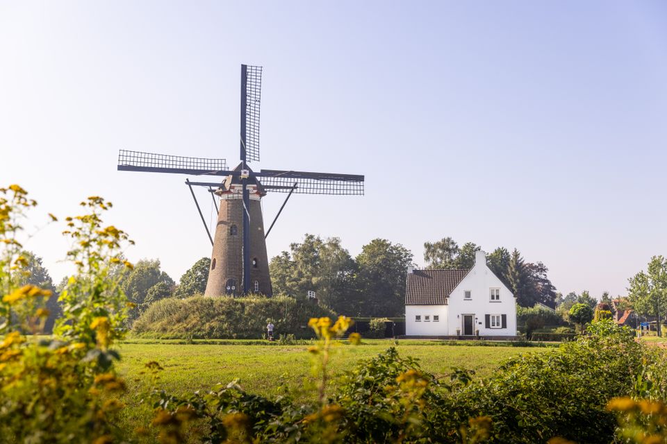 Roosdonck