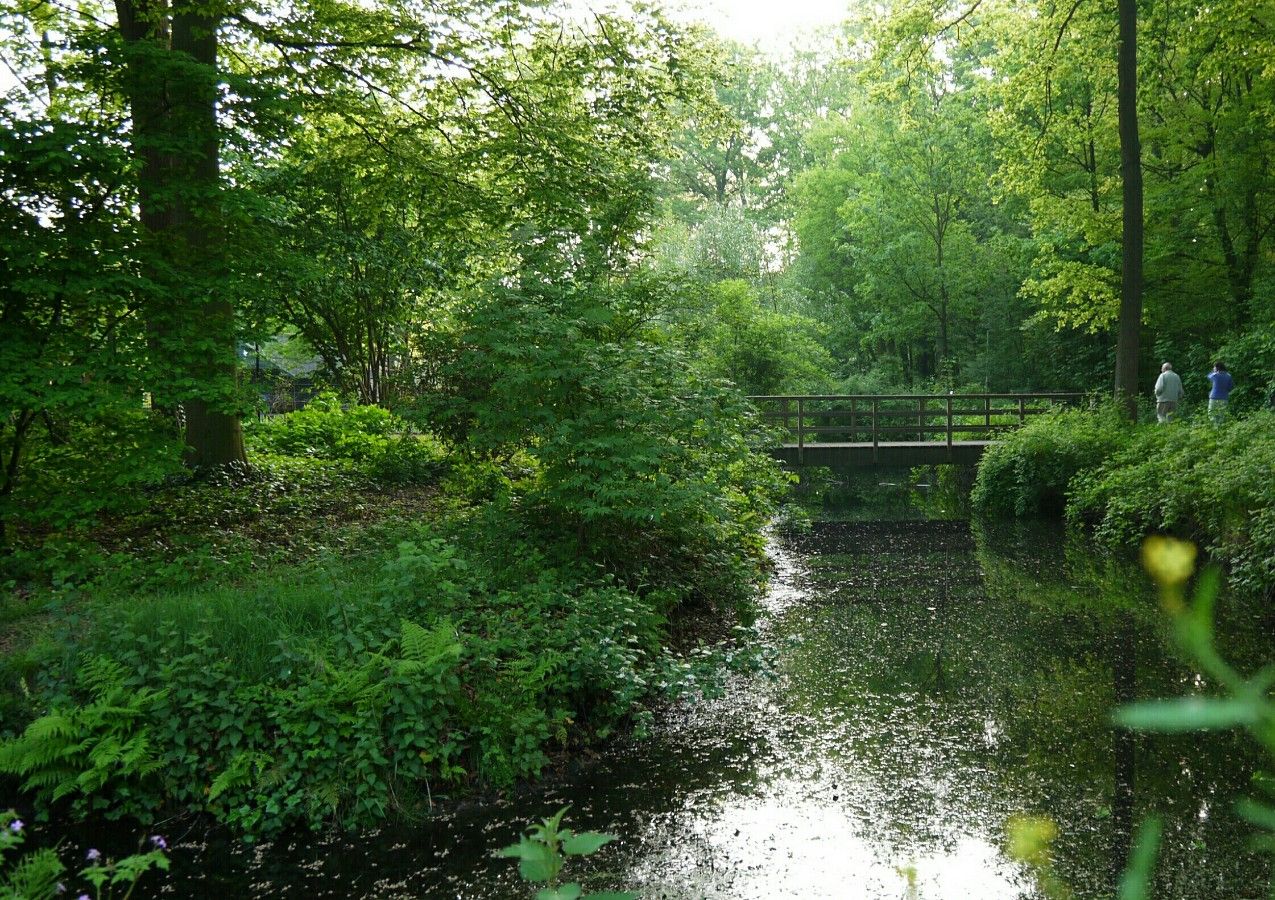 Haageind castle grounds Deurne - Park