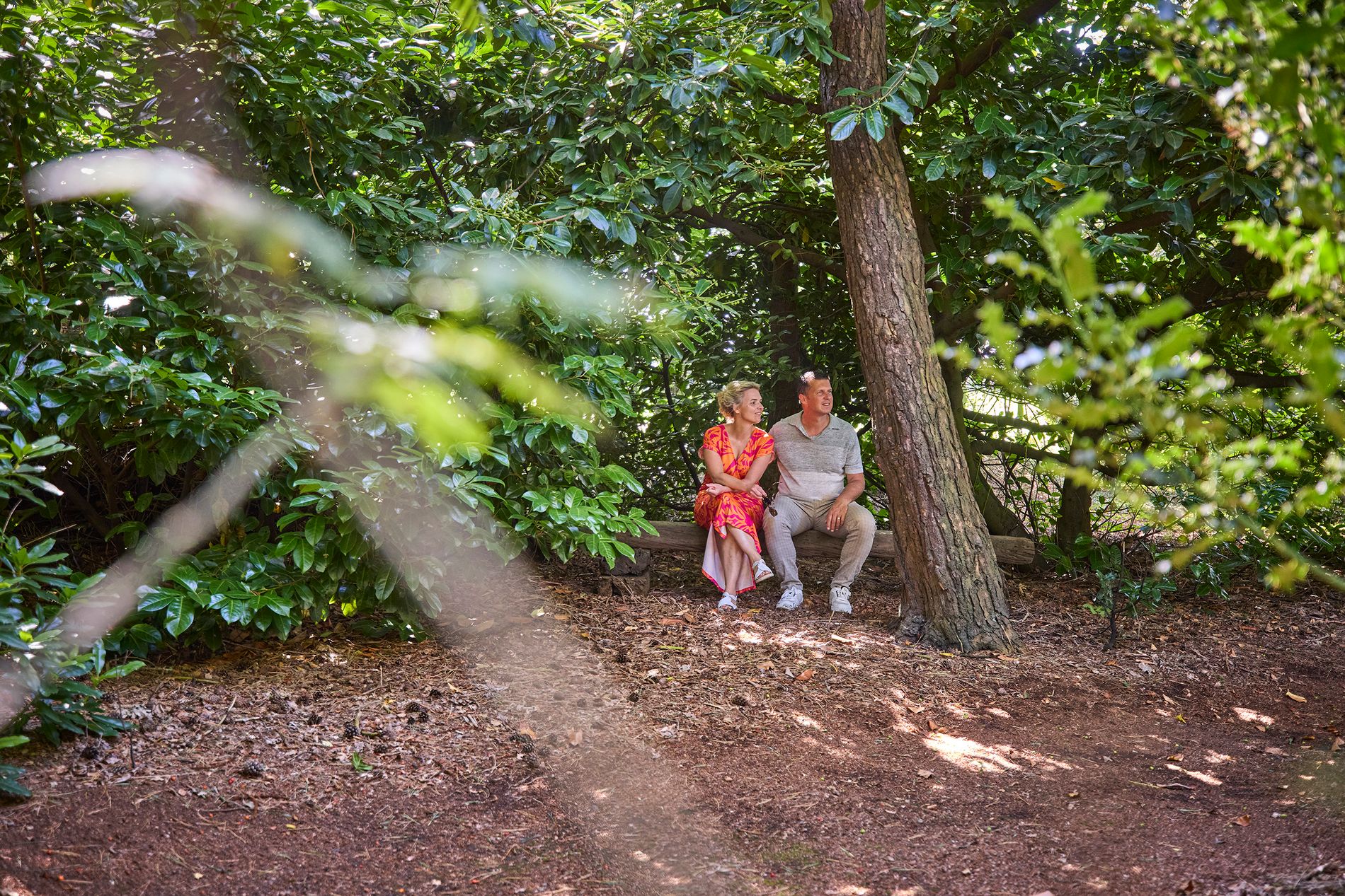 Uitrusten op een bankje in het bos bij camping Lekker Buiten.