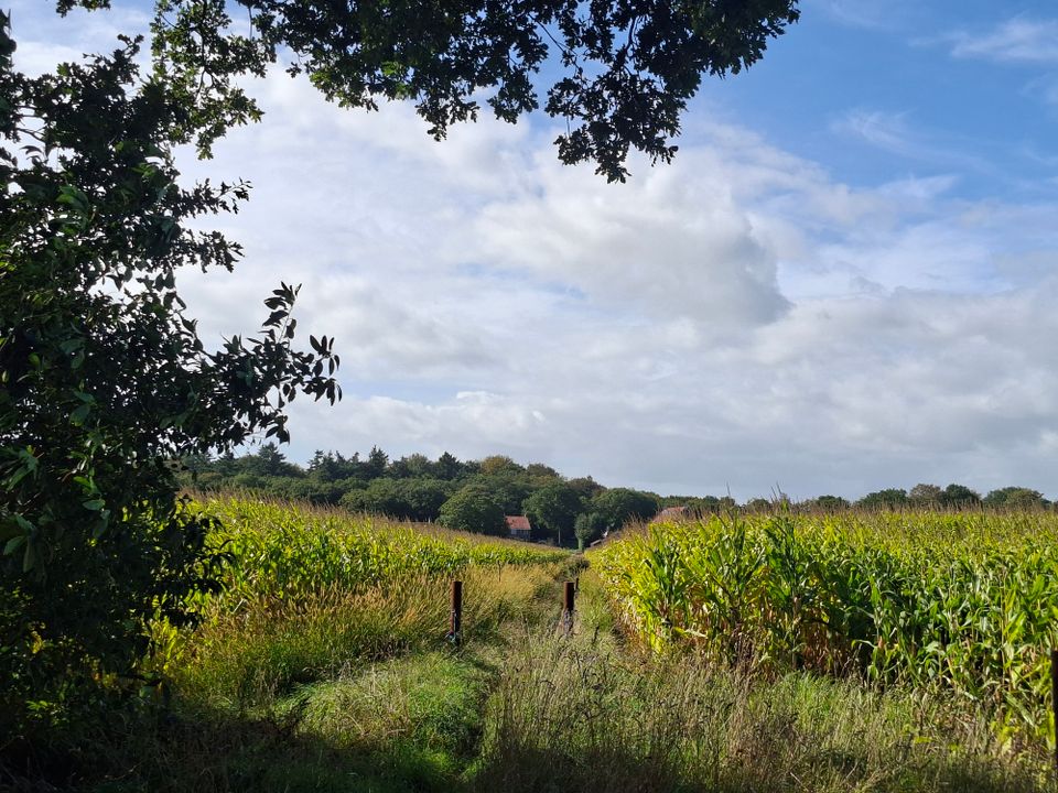 Wandelen door het onverwachte Friese landschap
