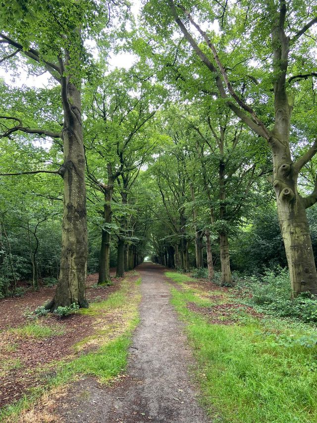 Harichsterbosk laan