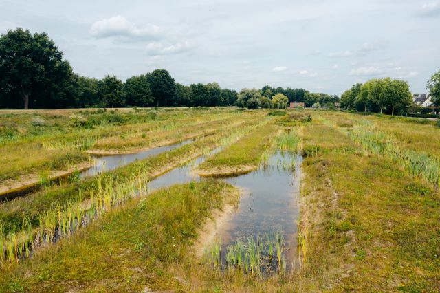 Turfweide-Veenendaal