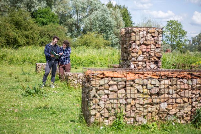 Detail castellum Meinerswijk