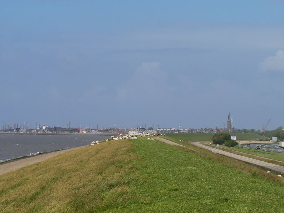 Waddenzeedijk - Herbaijum | Elfstedenpad: etappe 9
