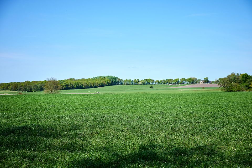 Glooiend Landschap Murnserdyk Gaasterland Friesland