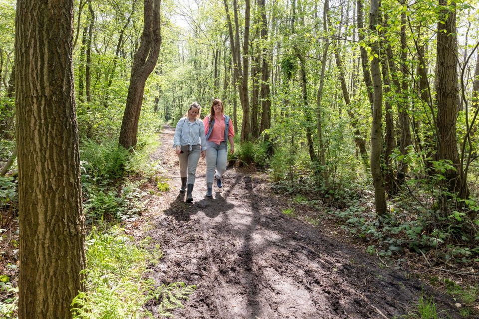 Dwaal door De Deelen