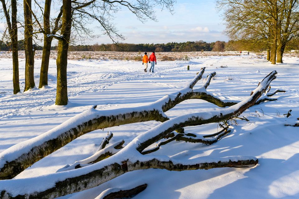 Tafelbergheide wandelaars in winter