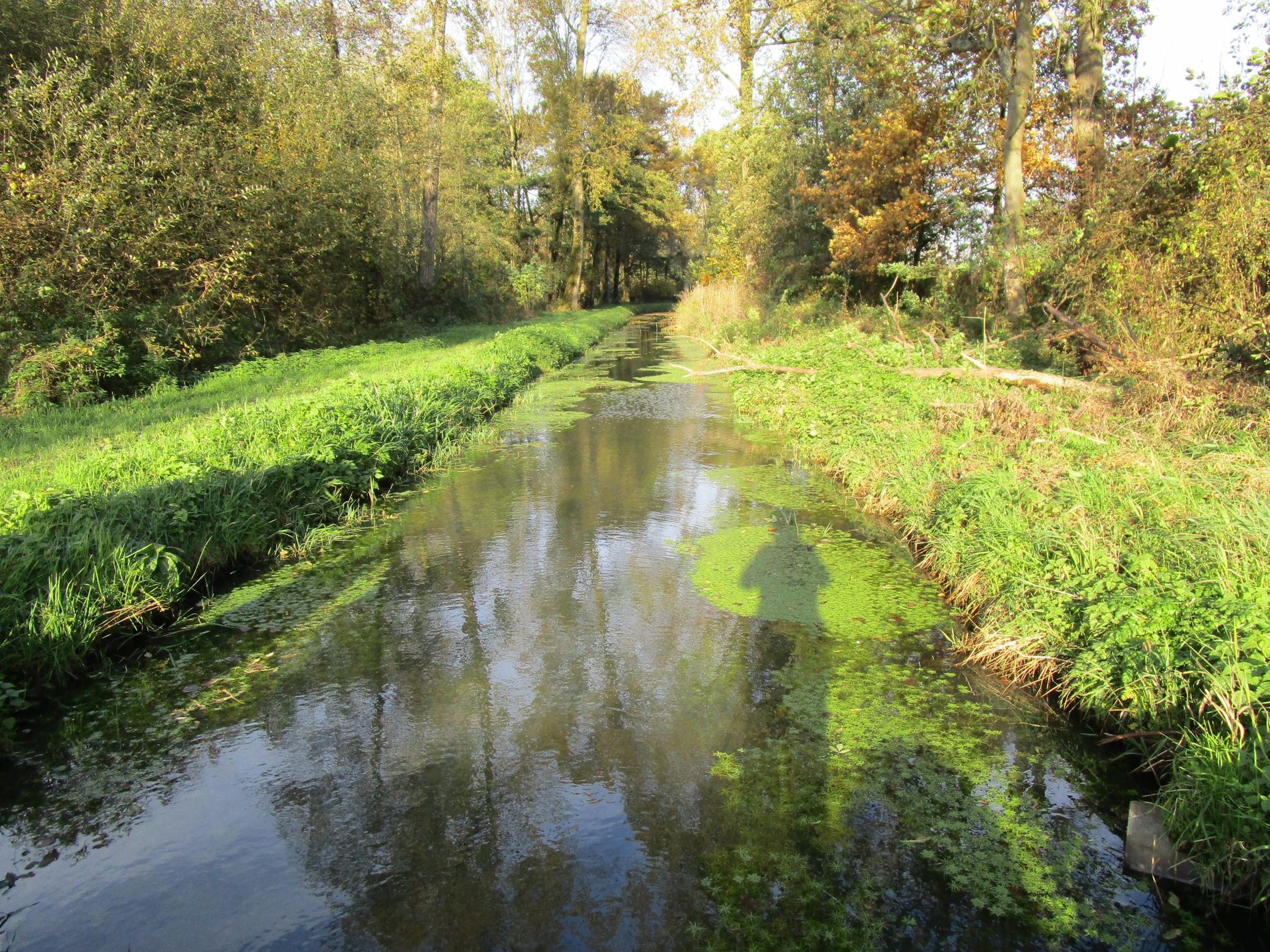Fietsen/wandelen Beekdal Kleine Dommel Geldrop