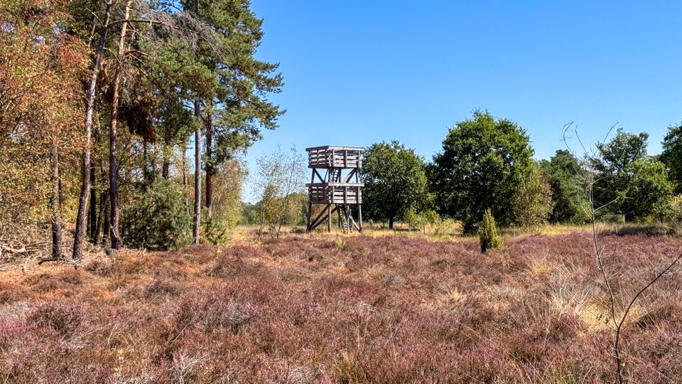 Wandeling over Landgoed De Stippelberg uitkijktoren en heide
