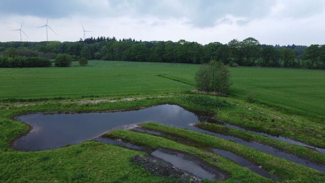 Poel en moerasarmen bij Batonia Beekenbos voorjaar 2026