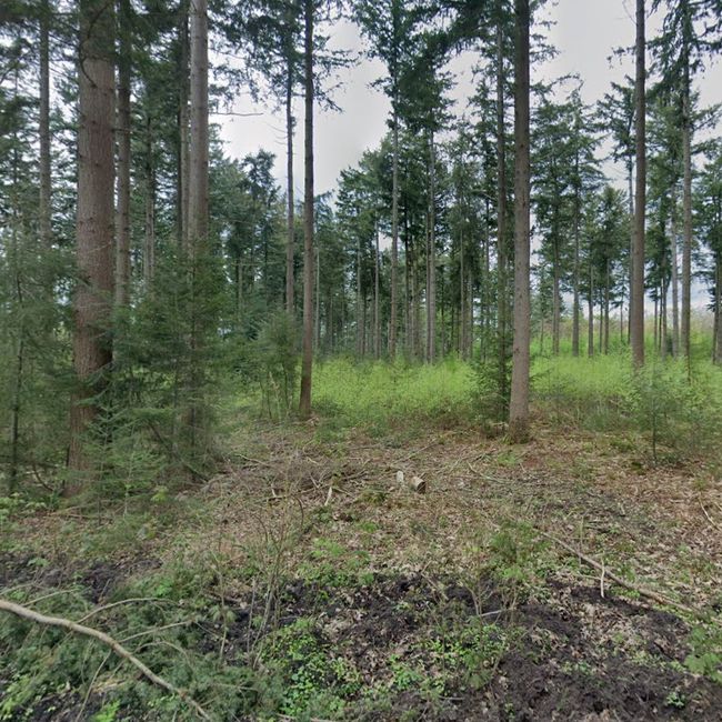 Natuur bij Tongeren