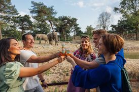 Brew@theZoo brengt bier en safari wederom samen in Beekse Bergen