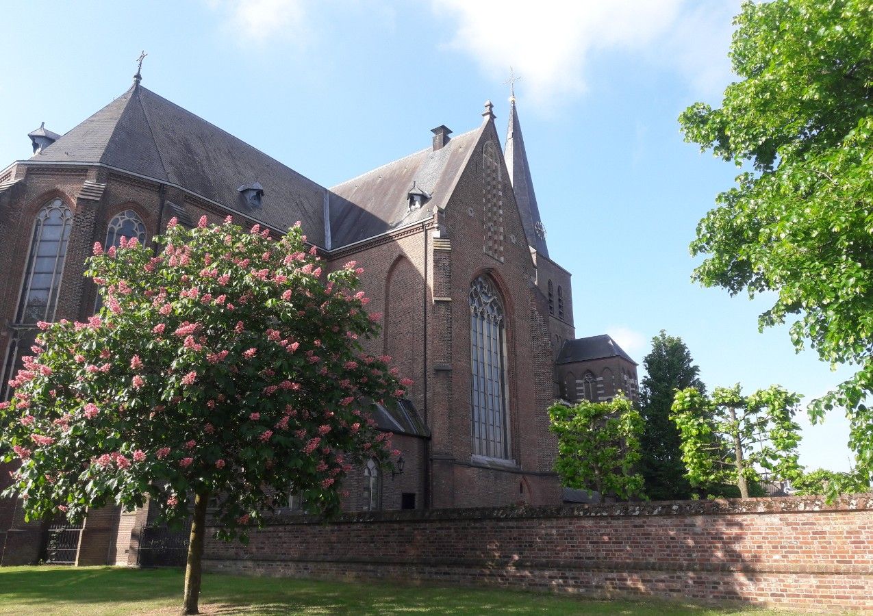 Willibrorduskerk met boom