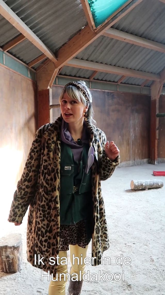 Paloma in de Humaldakooi