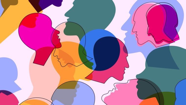 The Social Animal 2026