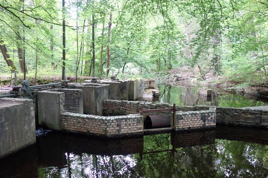 Waterloopbos Marknesse NOP Natuur Architectuur klein