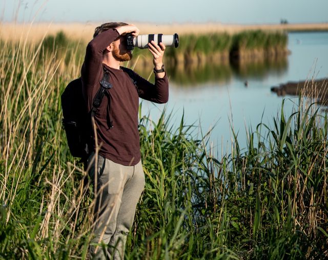 Oostvaardersplassen almere fotografie