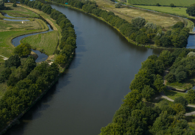 Duiker Zuid-Willemsvaart