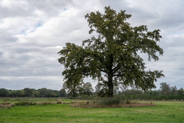 Voormalig jagerskamp