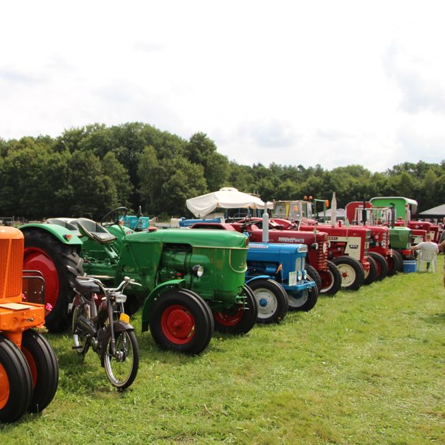 Tractoren Oldtimershow Hulshorst