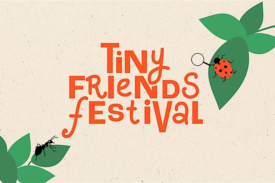 logo Tiny Friends Festival: tekening met een lieveheersbeestje en een mier op een blaadje