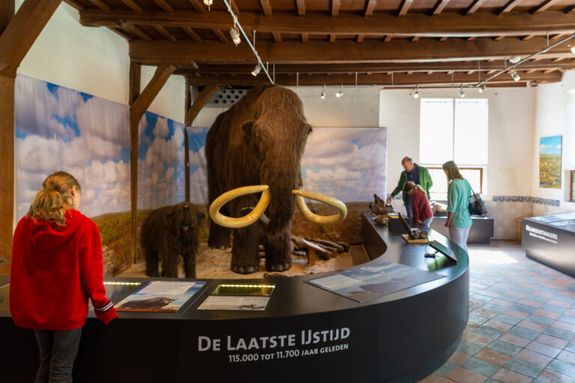 Oermuseum Diever kinderactiviteiten kinderen mammoet ijstijd