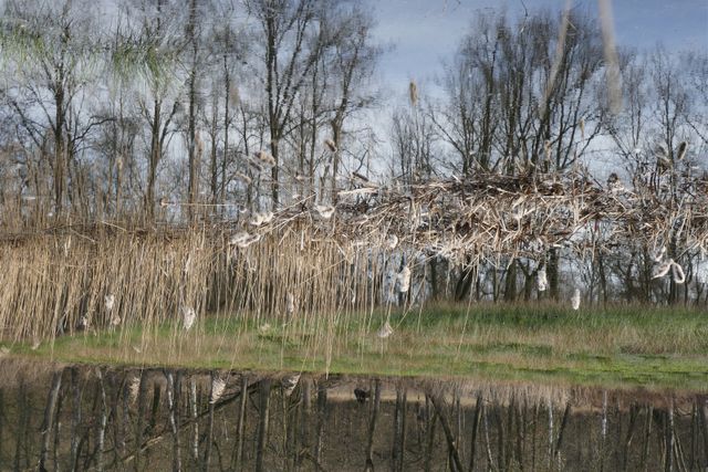 Natuurgebied Grijze Steen Casteren