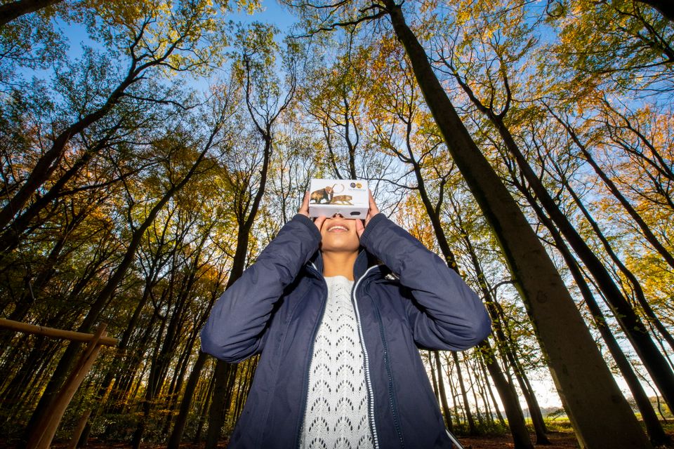 Een vrouw kijkt midden in het bos door een VR-bril.