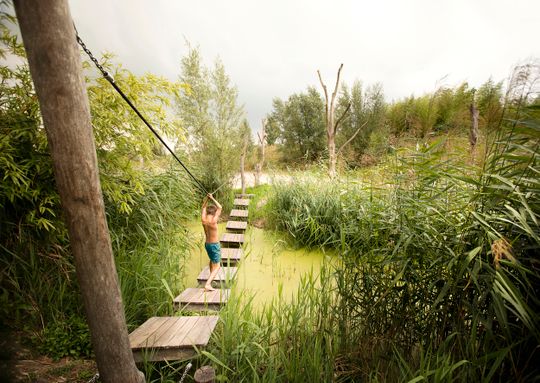 Netl_touwbrug_ClaireDroppert