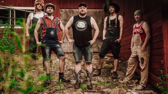 Steve 'n' Seagulls