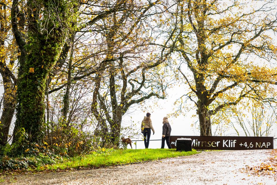 Twee wandelaars met een hond bij het Mirnser Klif in Mirns.