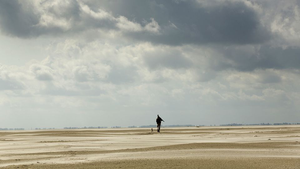 Voor promotie van de app