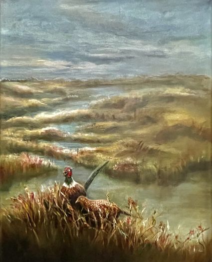 Fazanten in landschap