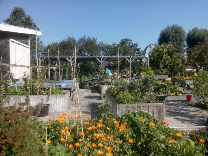 Groene/Groente beweegtuin in Heeg