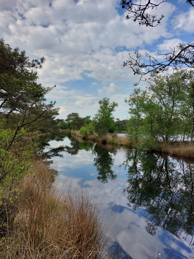 Het Turfvaartje van het Brandeveen.
