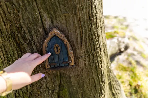 Het Elfjespad, beleefroute in Dwingeloo