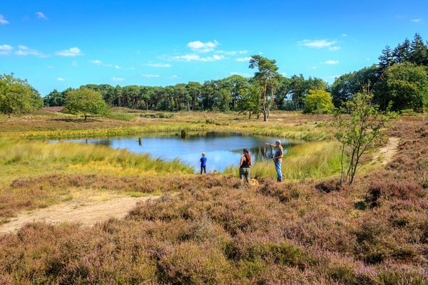 Hatertse en Overasseltse Vennen wandelen
