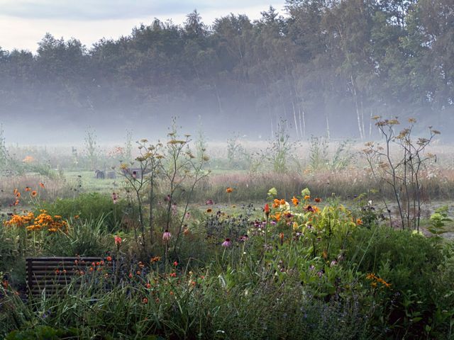 Sfeerfoto van een inspiratietuin