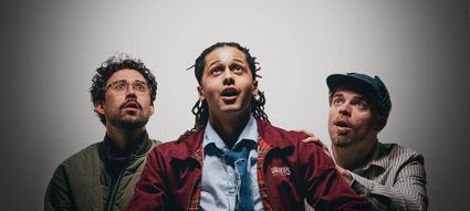 Programmering van Theater de Lievekamp