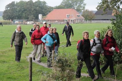 Wandelaars in de bossen van Oudemirdum.