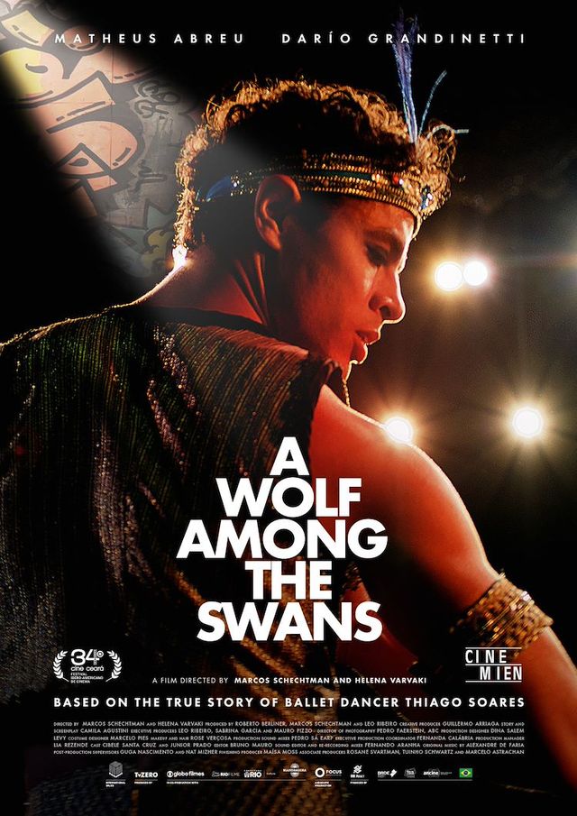 Filmposter van A Wolf Among the Swans | Rainbow Night