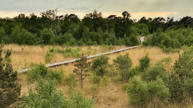 De rode knuppebrug route Groote Peel