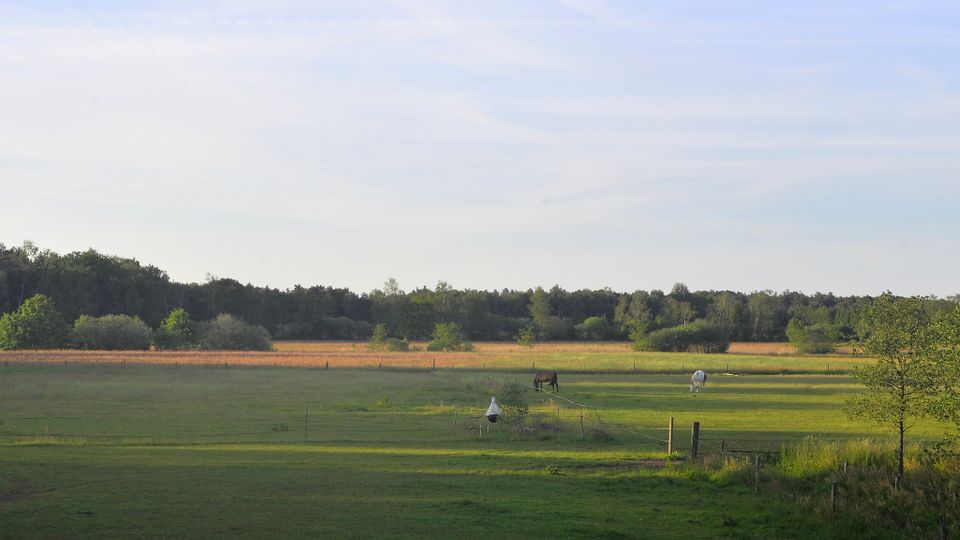 Uitzicht op de natuur in de omgeving, op de achtergrond bossen en op de voorgrond groene weiden.